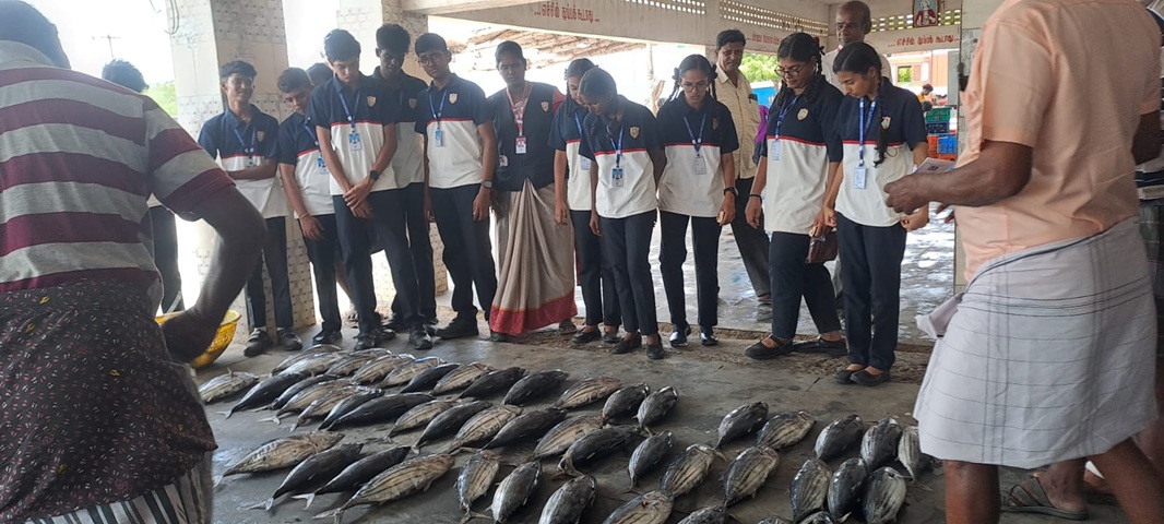 Sri-Ambal-Vidhiyalaya-School